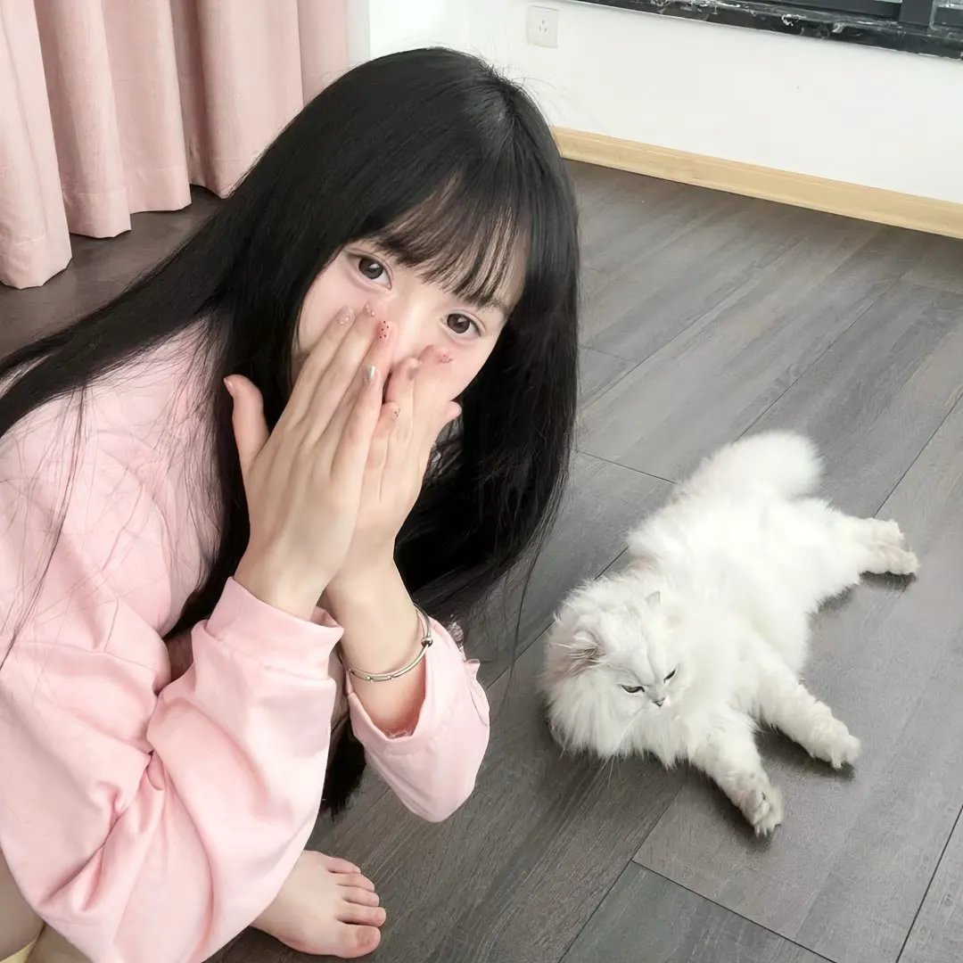 我的小牛与总统